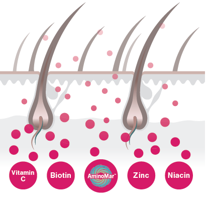 Viviscal Hair Growth Supplements